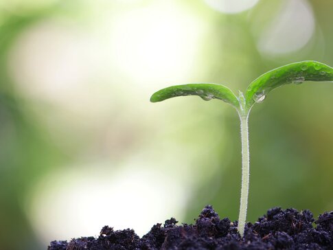 SamCool - Nachhaltigkeit 